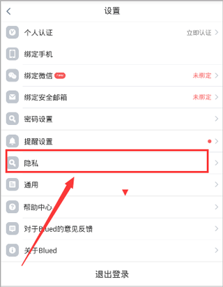 布鲁帝交友软件