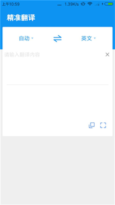 精准翻译