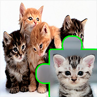 小猫拼图