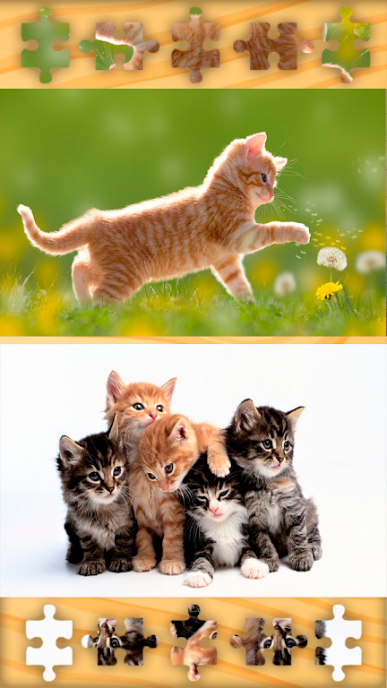 小猫拼图