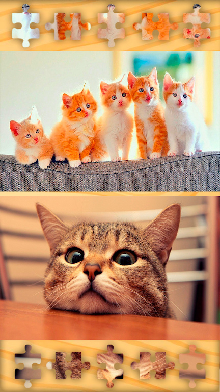 小猫拼图