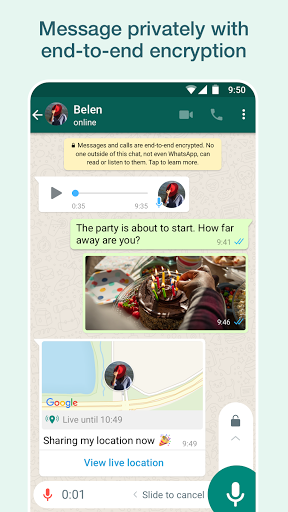 whatsapp官网安卓版