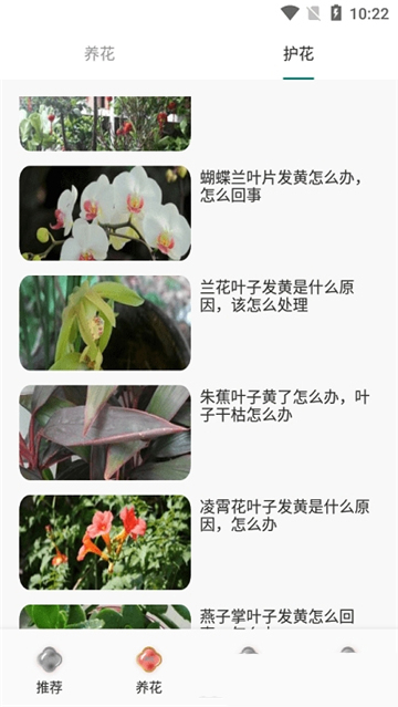 一花植物养殖