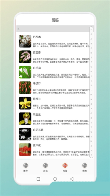 一花植物养殖