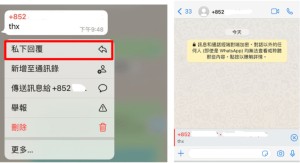 whatsapp2024最新安卓版