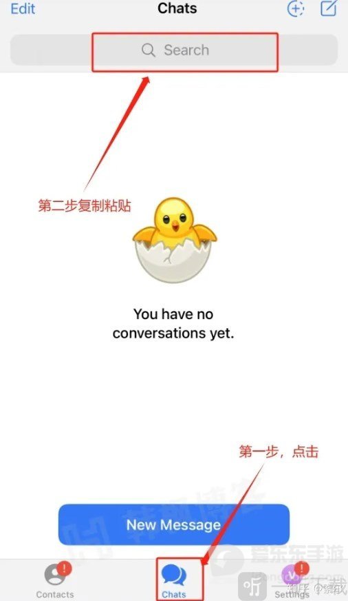 纸飞机中文版