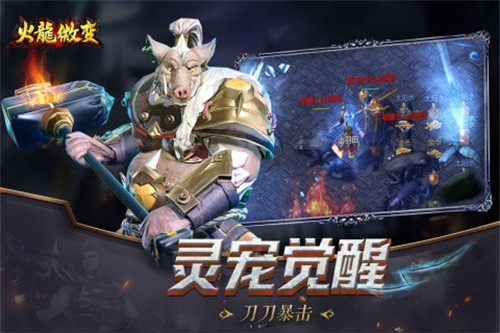 火龙微变
