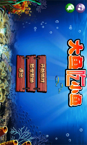 吞食鱼大鱼吃小鱼