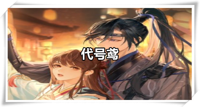 代号鸢
