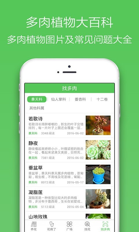 花百科