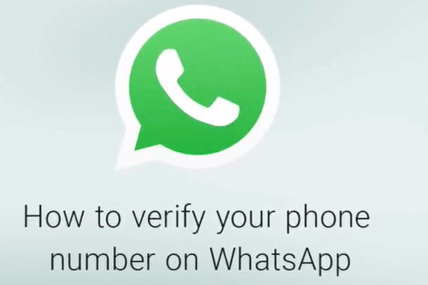 whatsapp手机版