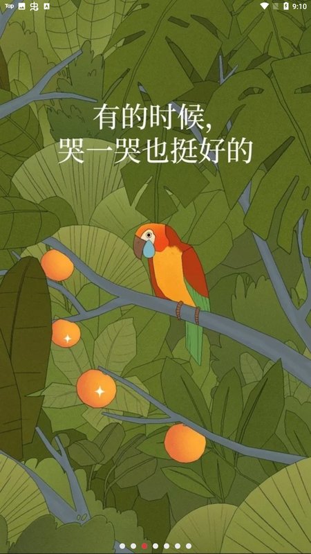 孤独的鸟儿安卓版