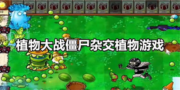 植物大战僵尸杂交植物