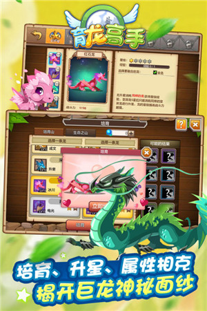 育龙高手免费版