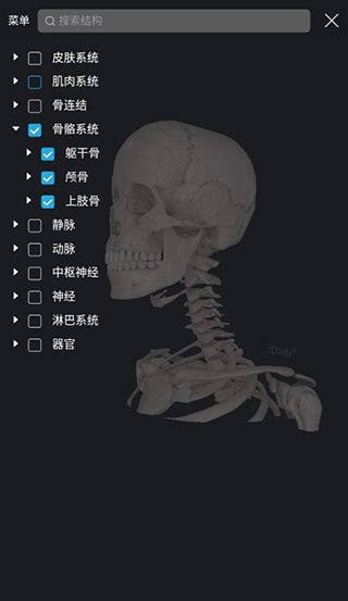 3dbody解剖免费版