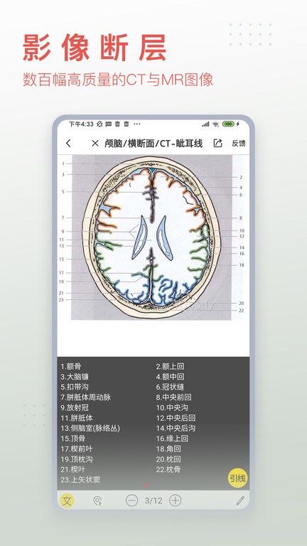 3dbody解剖免费版