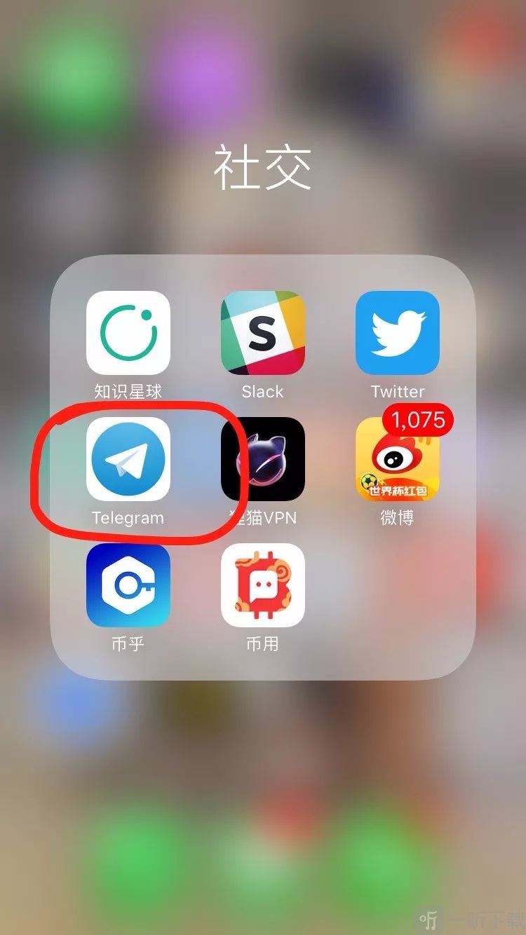 x版TG官网