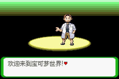 口袋妖怪空之花神金手指版
