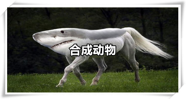 合成动物