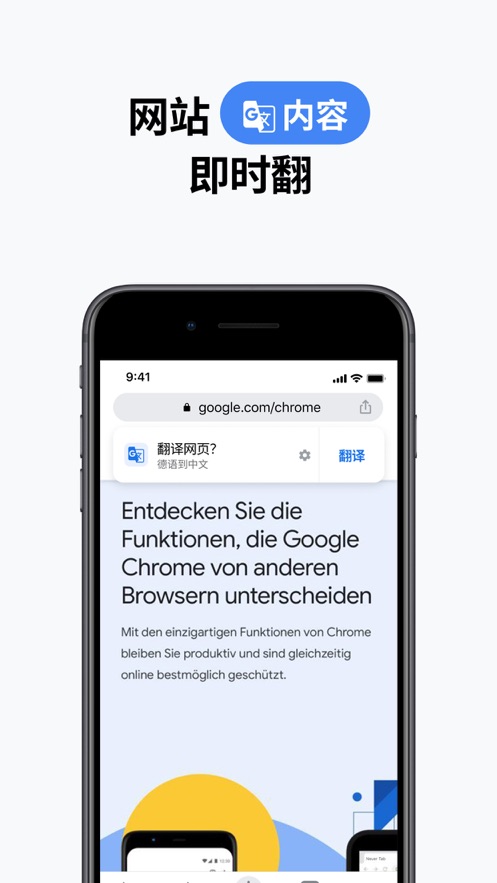 Google Chrome