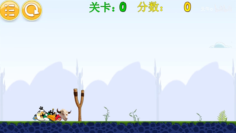我的鸟