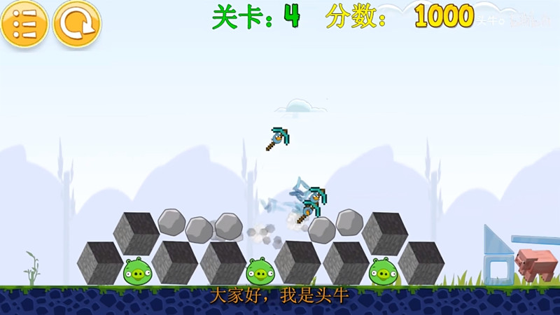 我的鸟