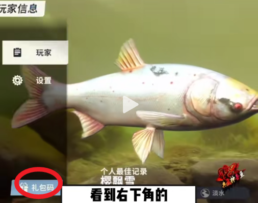 欢乐钓鱼大师内置陀螺仪