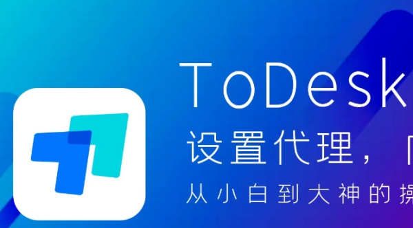 todesk