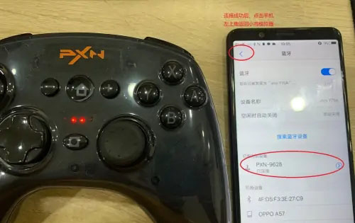 小鸡模拟器金手指