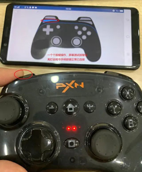 小鸡模拟器金手指