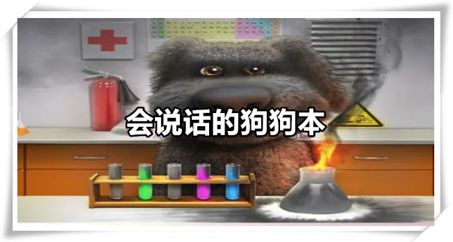会说话的狗狗本