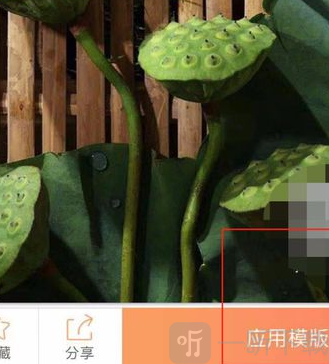 一键生成app