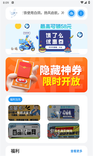熊盒子白鸽