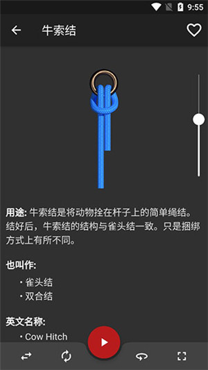 knots3D