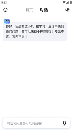 有道小p