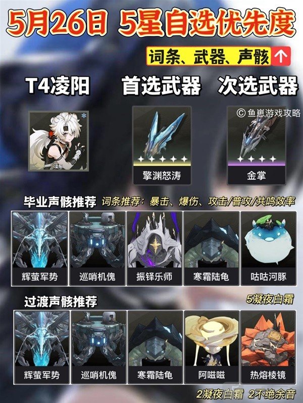 鳴潮5星自選推薦及養成建議 鳴潮5星角色選擇介紹