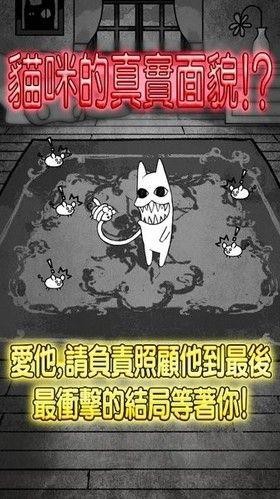 世界奇喵物语