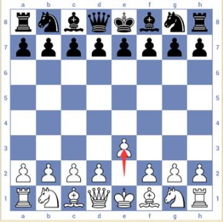 3d国际象棋