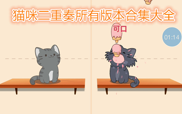猫咪二重奏