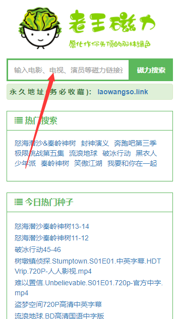 老王磁力引擎