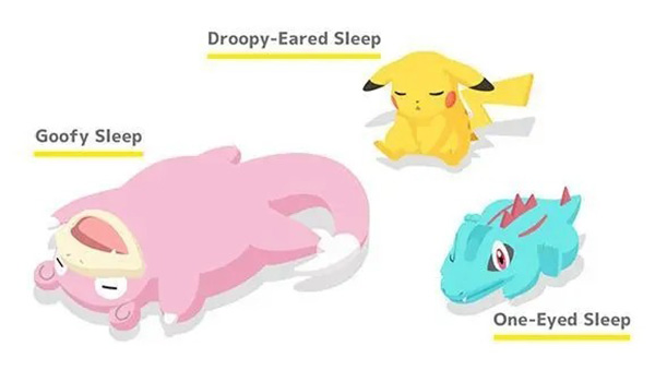 宝可梦sleep安卓版