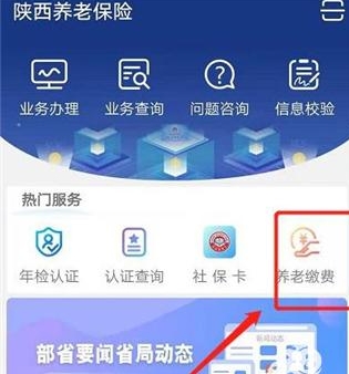 陕西养老保险