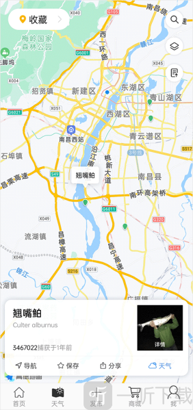 渔获天气预报