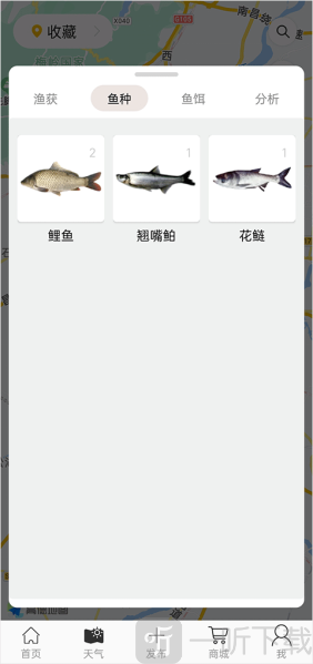 渔获天气预报