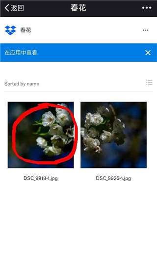 Dropbox免费版