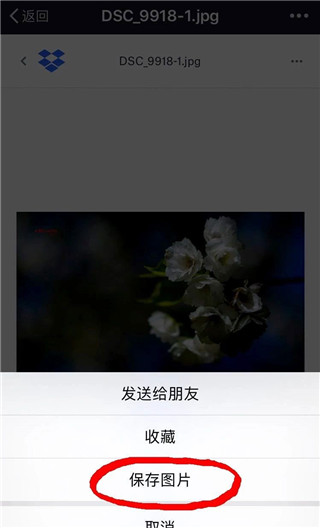 Dropbox免费版