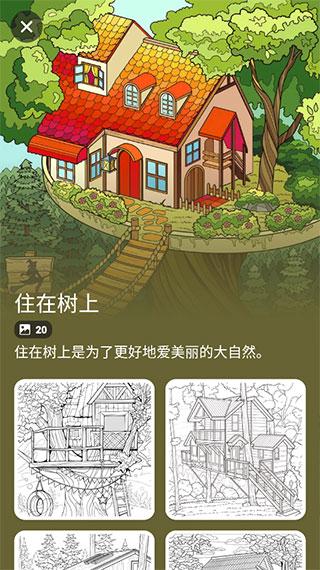 数字填色趣味解压