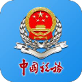 河南税务app