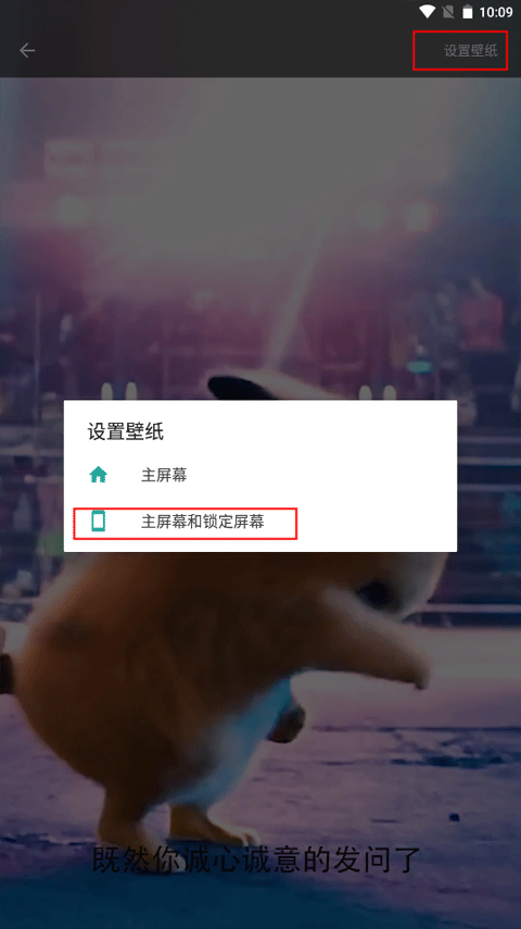 皮皮壁纸最新版