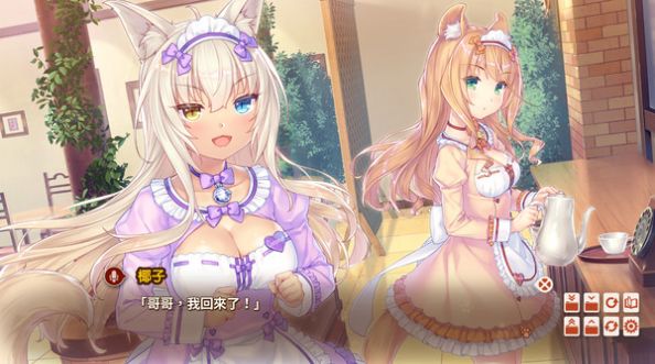 猫娘乐园完整版